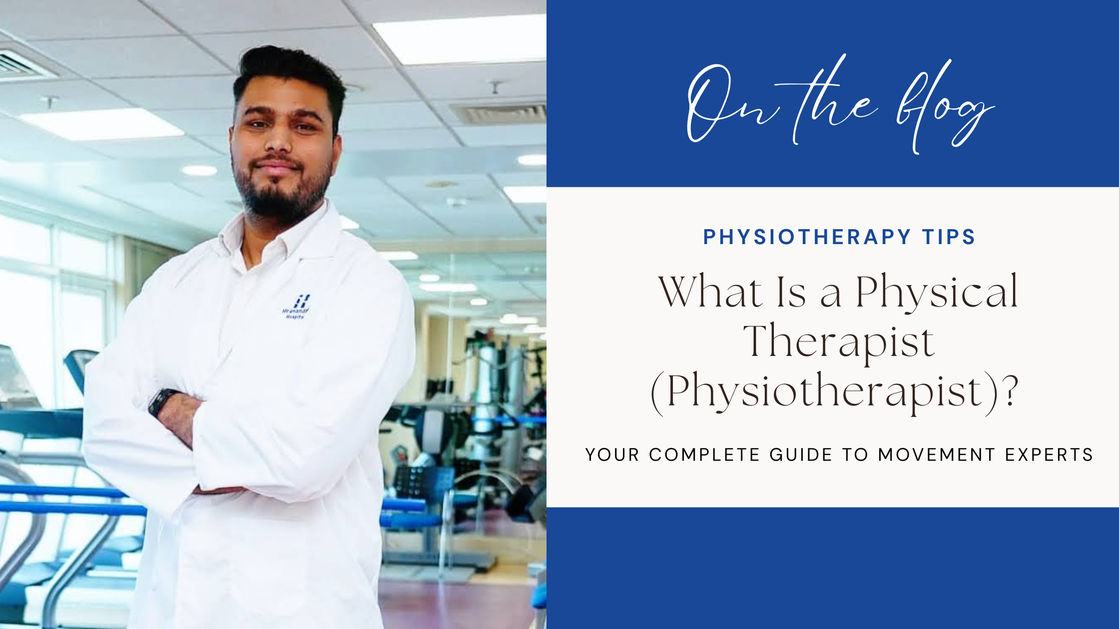 What Is a Physical Therapist (Physiotherapist) Your Complete Guide to Movement Experts